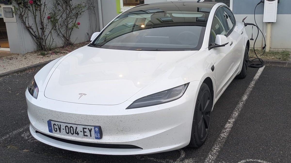 Ecraser des moustiques pour aider la science : voici le programme de votre prochain trajet de vacances